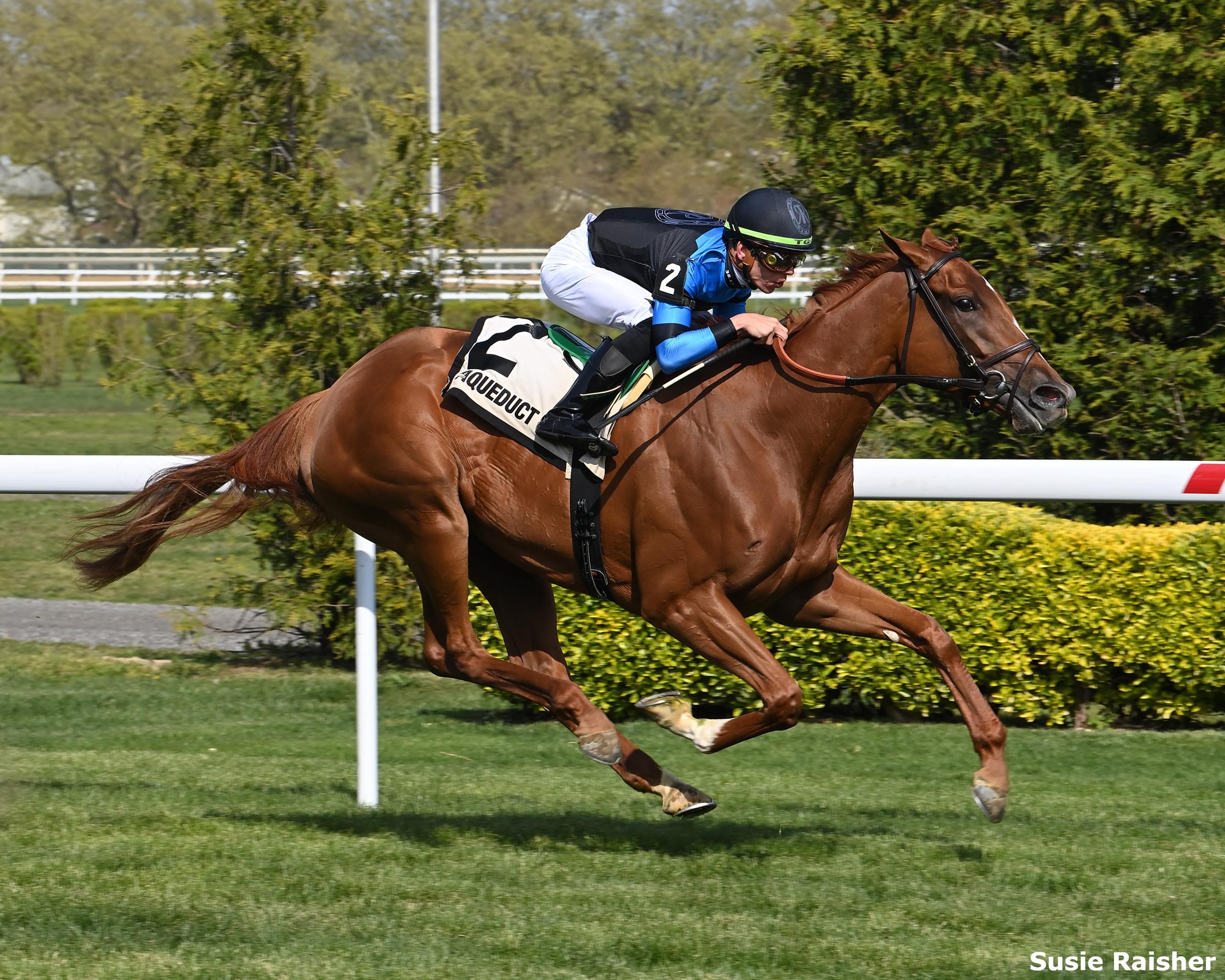 Chad Brown Sends Out Talented Trio in G2 Wonder Again - Past The Wire