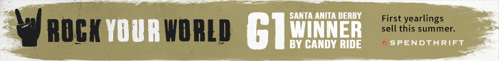 SP: Rock Your World Banner (ad)