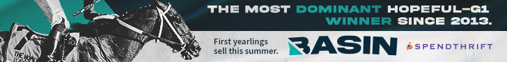SP: Basin Banner (ad)