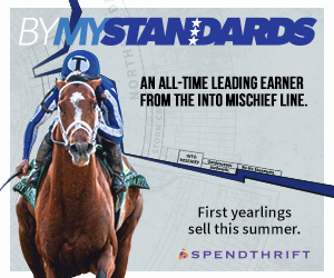 SP: By My Standards Square (ad)