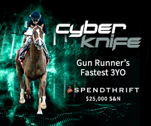 SP: Cyber Knife Square (ad)