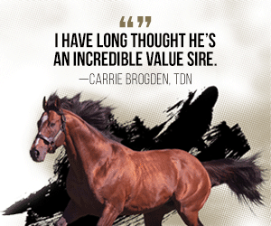 SP: Goldencents Square (ad)