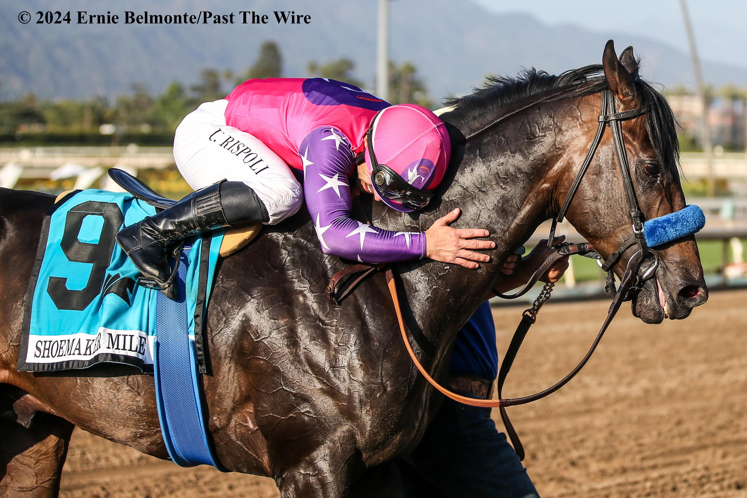 Stacked Field in G2 City of Hope Mile