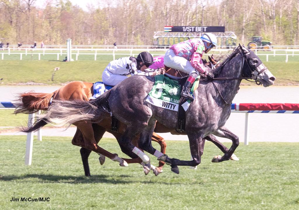 Witty back on the turf scoring the King T. Leatherbury April 20 at Laurel Park. (Jim McCue/MJC)