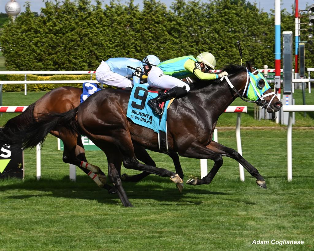 Smokey Smokey hits the wire first. (Adam Coglianese)