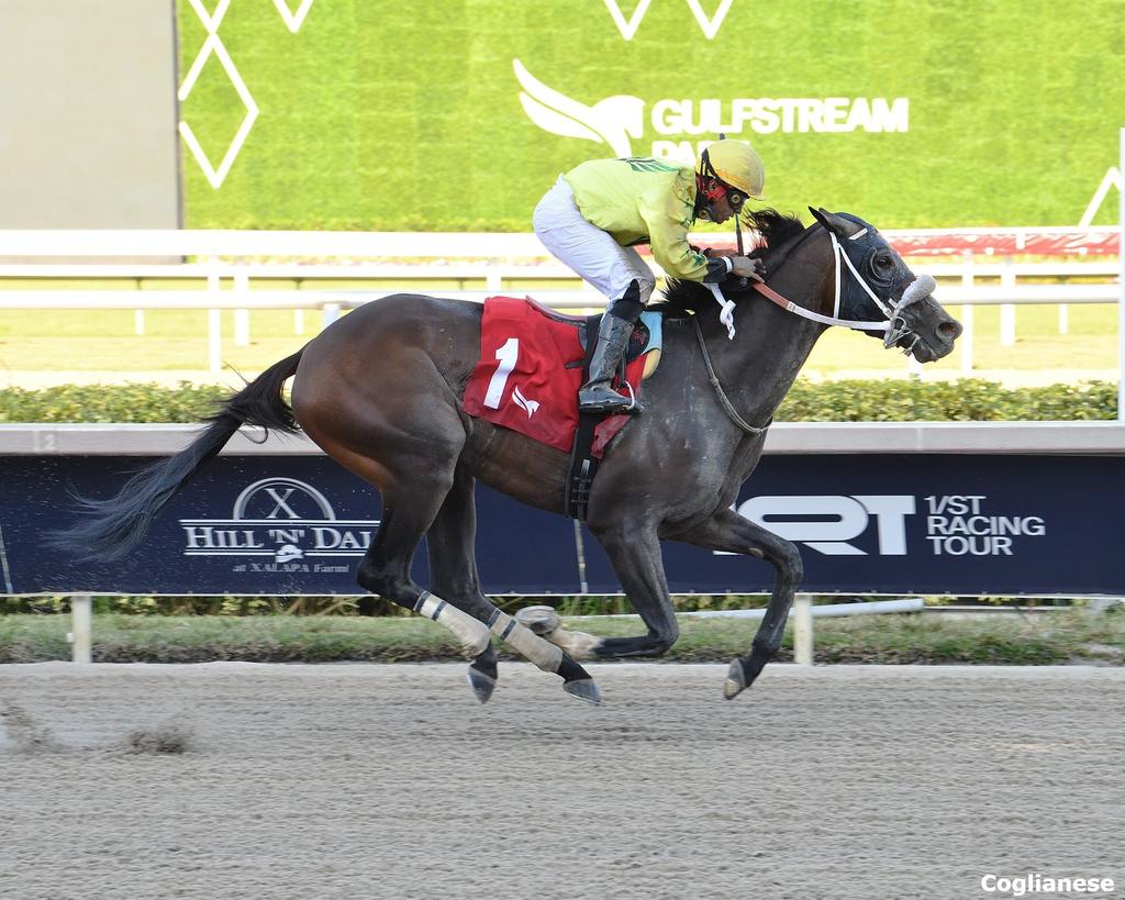 Shaq Diesel wins an allowance optional claimer April 20 at Gulfstream Park (Coglianese)