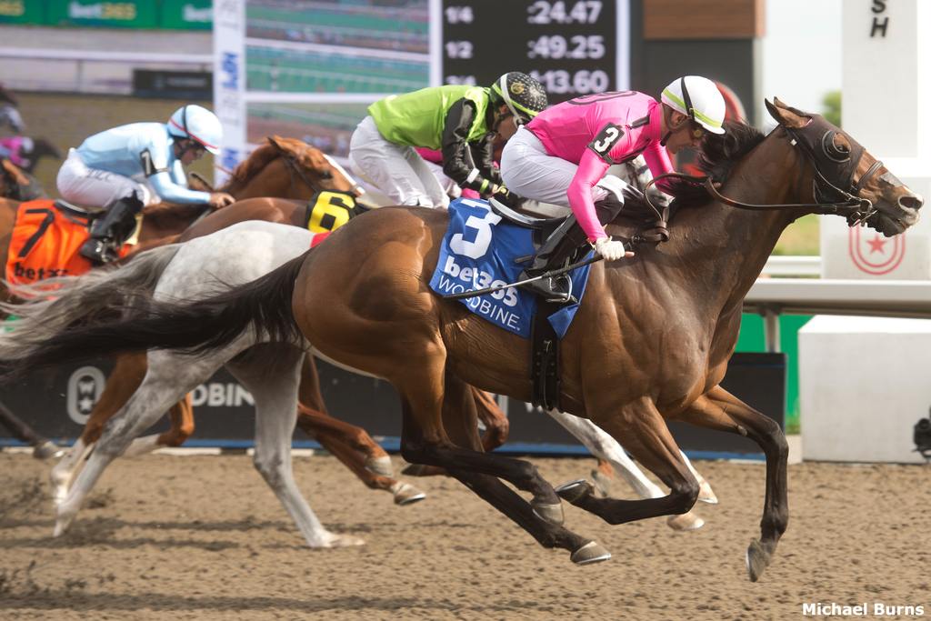 Palazzi and jockey Sahin Civaci winning the Eclipse Stakes on June 1, 2024. (Michael Burns Photo)