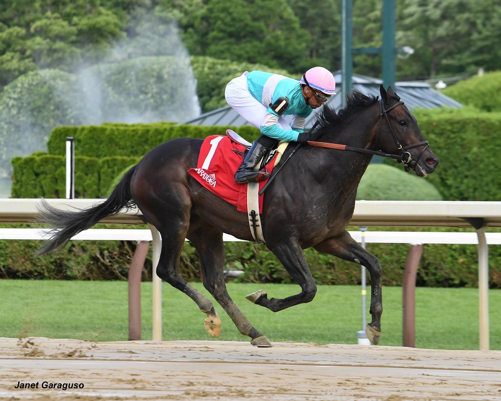 Spirit of St. Louis winning the Kingston. (Janet Garaguso)