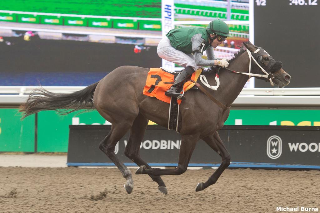 Bound to Be True draws away to break her maiden on debut June 8 at Woodbine (Michael Burns)