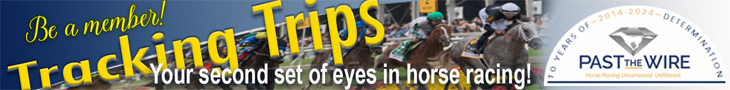 TT: Tracking Trips banner (ad)