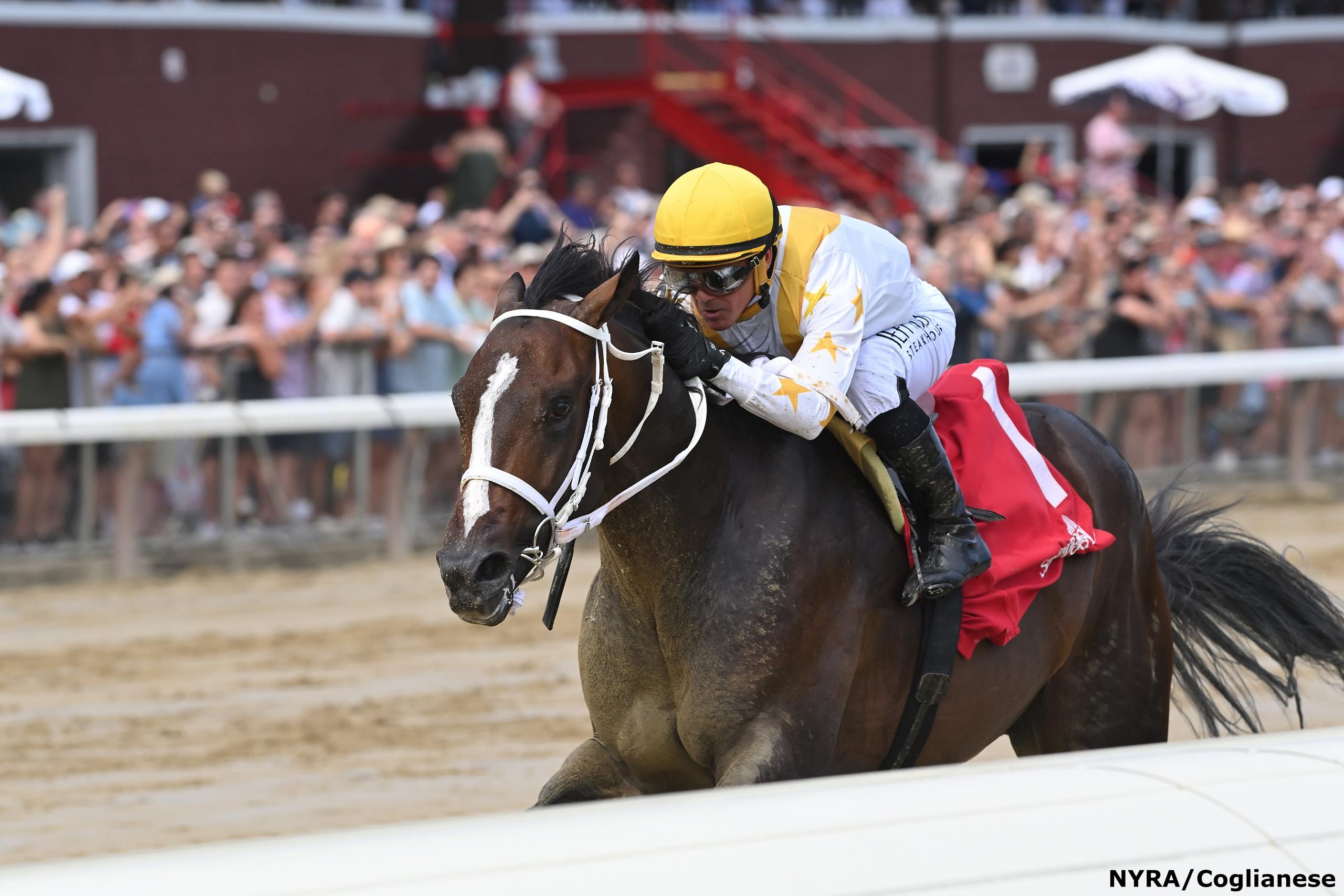 Breeders’ Cup 2024 How Much Potential Does Ferocious Have in the BC