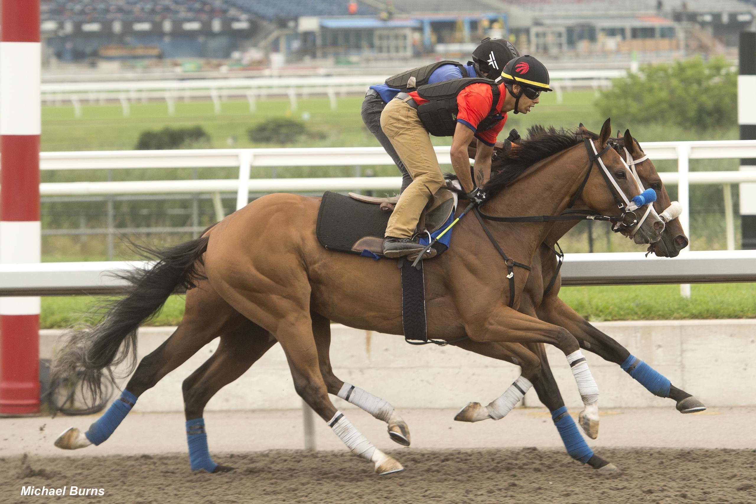 A King's Plate Dream Realized - Past The Wire