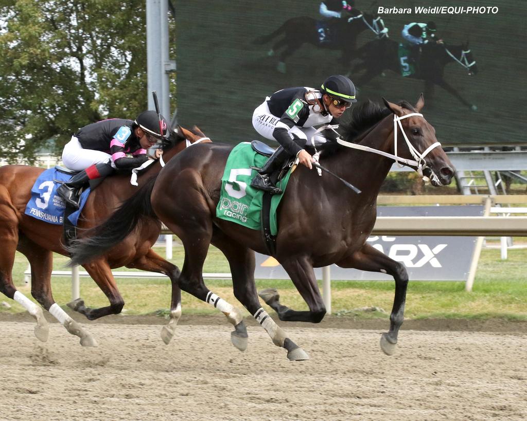 Five a Side #5 with Irad Ortiz, Jr. riding won the second race at Parx Racing in Bensalem, PA on September 21, 2024. Photo by Barbara Weidl/EQUI-PHOTO.