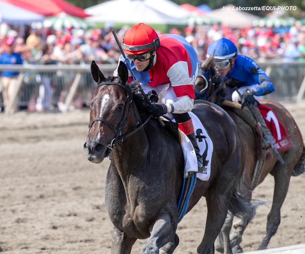 Foxy Junior #2 with Jomar Torres riding won the $100,000 Plum Pretty Stakes at Parx Racing in Bensalem, PA on September 21, 2024. Photo by Joe Labozzetta/EQUI-PHOTO.