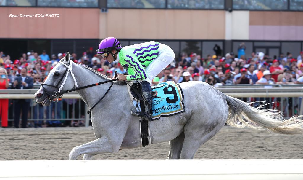 Next #9 with Luann Machado riding won the $200,000 Grade III Greenwood Cup at Parx Racing in Bensalem, PA on September 21, 2024. Photo by Ryan Denver/EQUI-PHOTO