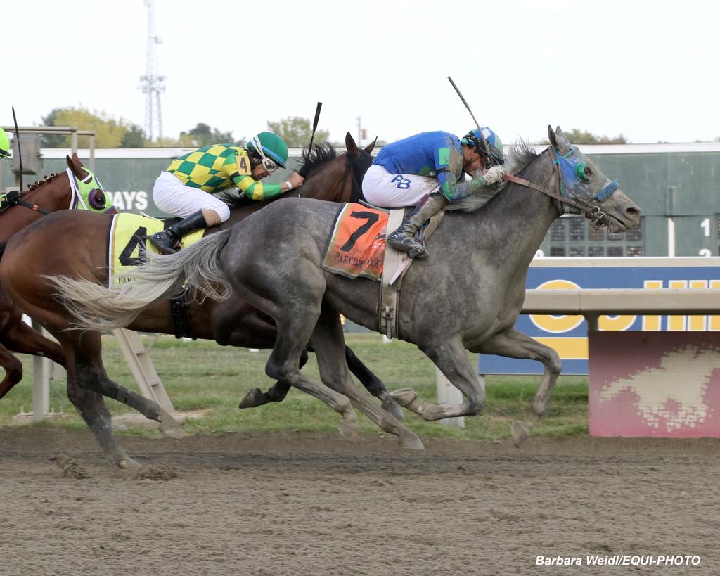 Coastal Mission #7 with  riding won the $300,000 Parx Dirt Mile at Parx Racing in Bensalem, PA on September 21, 2024. Photo by Barbara Weidl/EQUI-PHOTO.