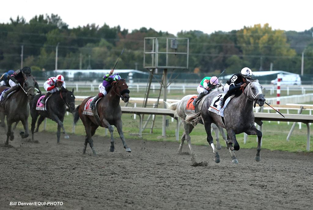 Seize the Grey #2 with Jaime Torres riding won the $1,000,000 Grade I Pennsylvania Derby at Parx Racing in Bensalem, PA on September 21, 2024. Photo by Bill Denver/EQUI-PHOTO.