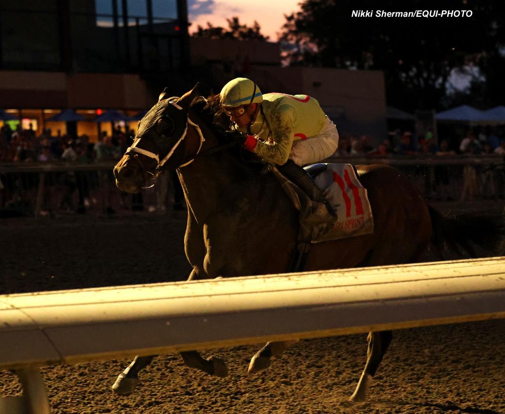 Top Gunner #11 with Flavien Prat riding won the $100,000 Parx Sprint at Parx Racing in Bensalem, PA on September 21, 2024. Photo by Nikki Sherman/EQUI-PHOTO.