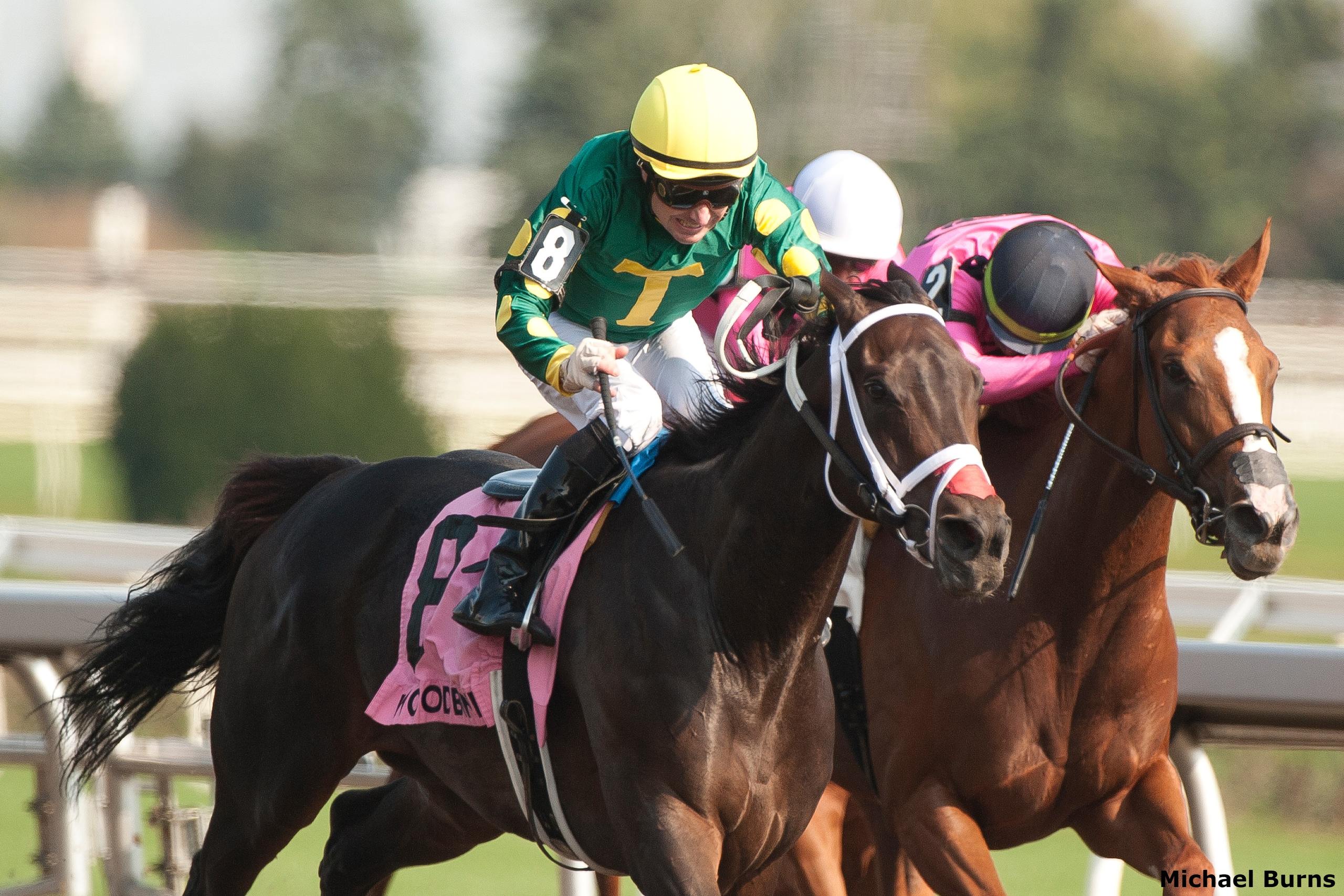 Emotional Victory for Moran Family in G3 Ontario Matron Past The Wire