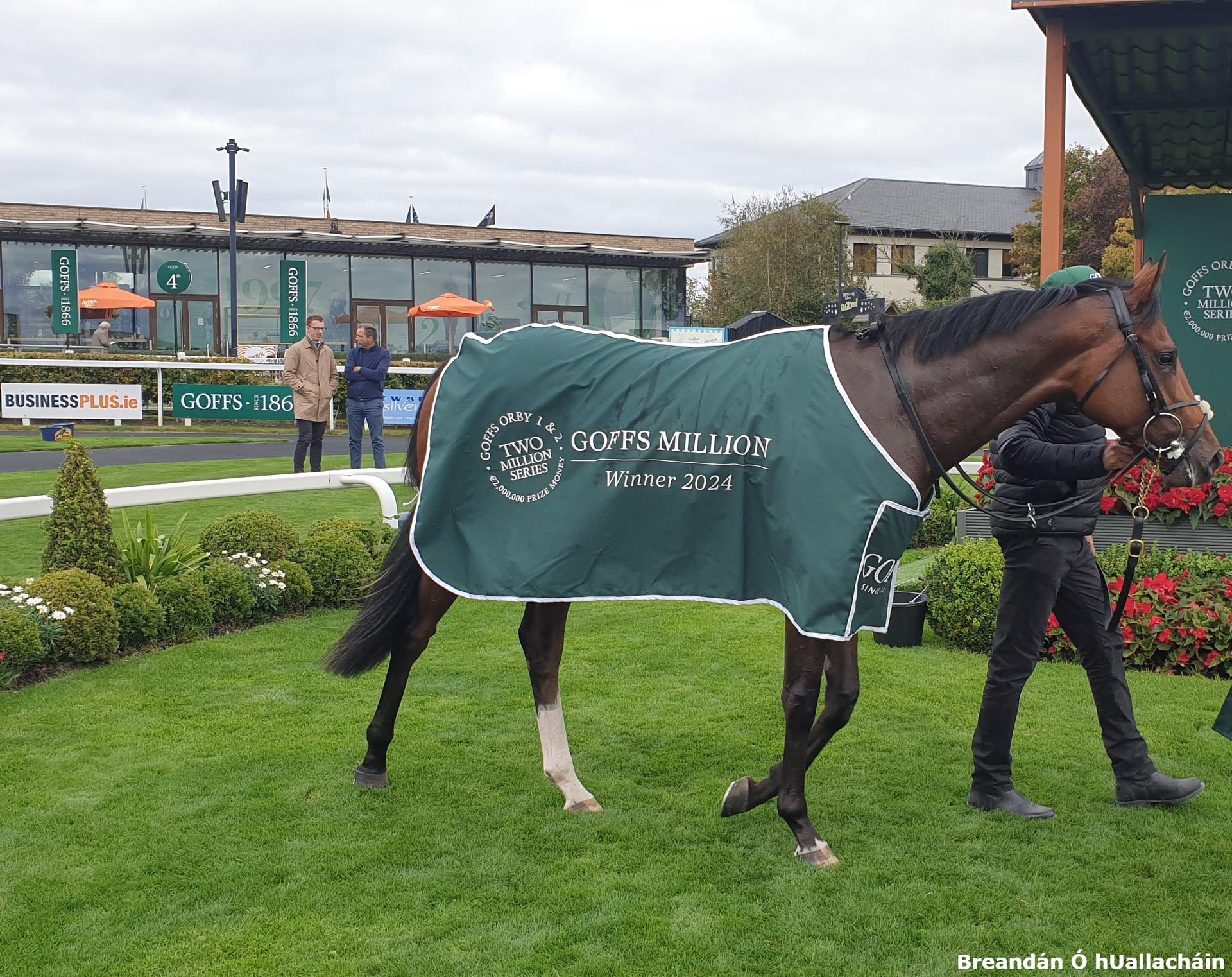 Joseph O’BrienTrained Apples And Bananas Wins Goffs Million at The
