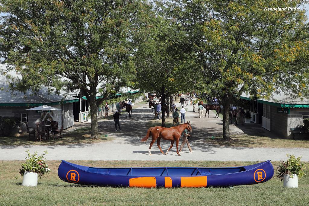 Scenics, 2024 Keeneland September Sale