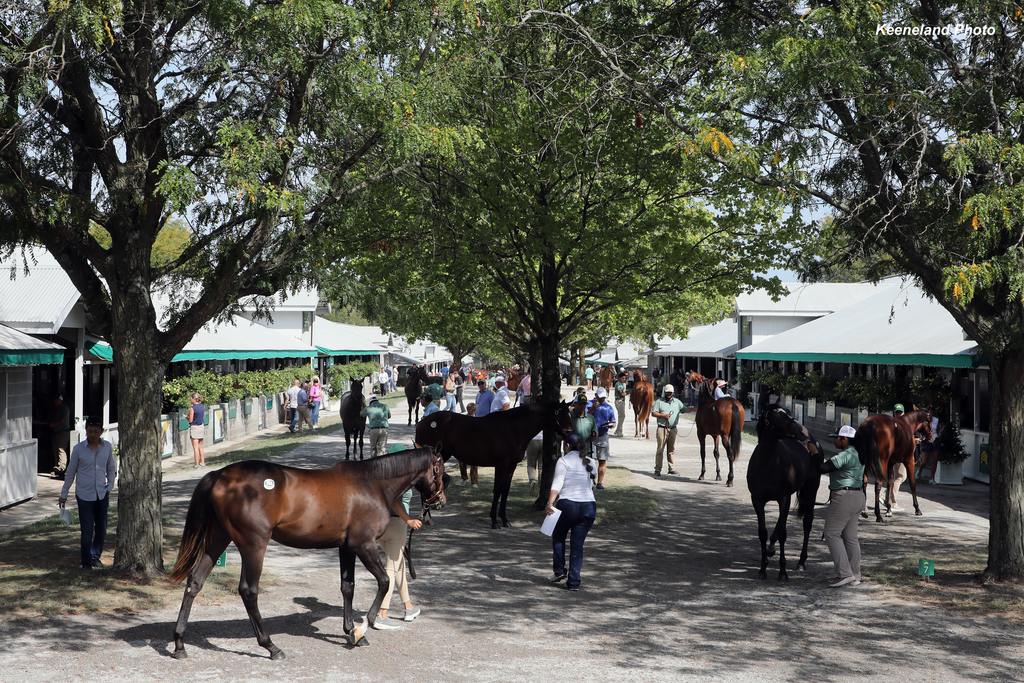 Keeneland Photo