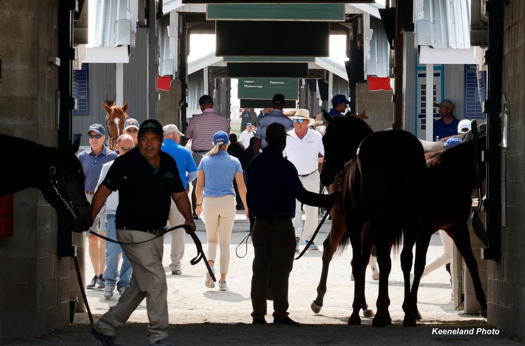 Scenics, 2024 Keeneland September Sale