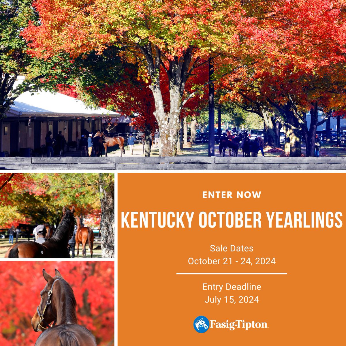 Ky. Oct. Yearlings Catalogue Now Online Past The Wire