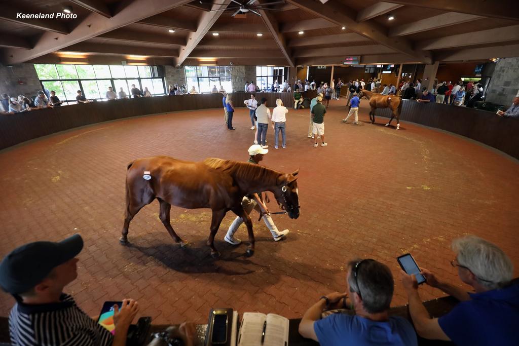 Keeneland Photo