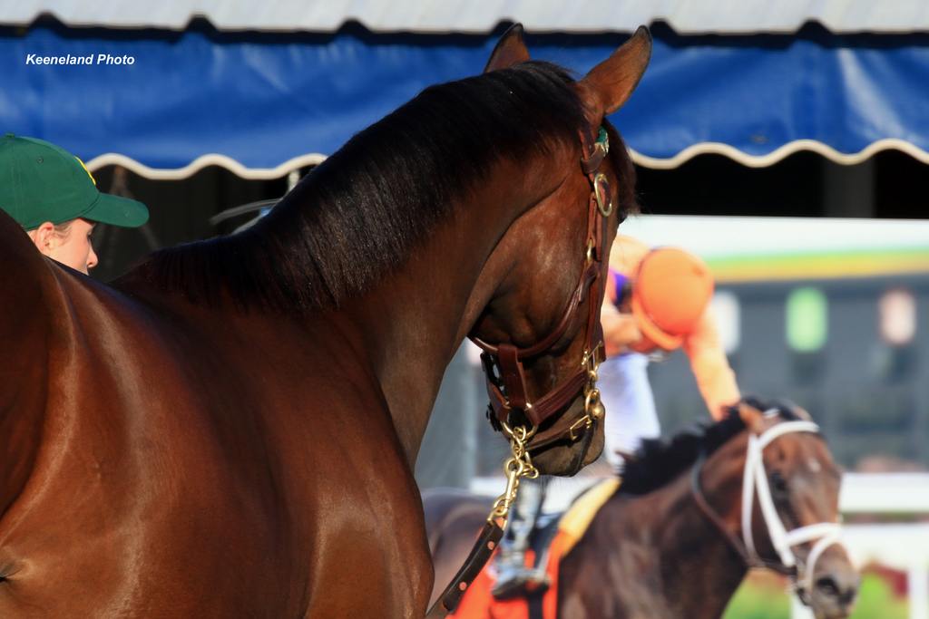 Keeneland Photo