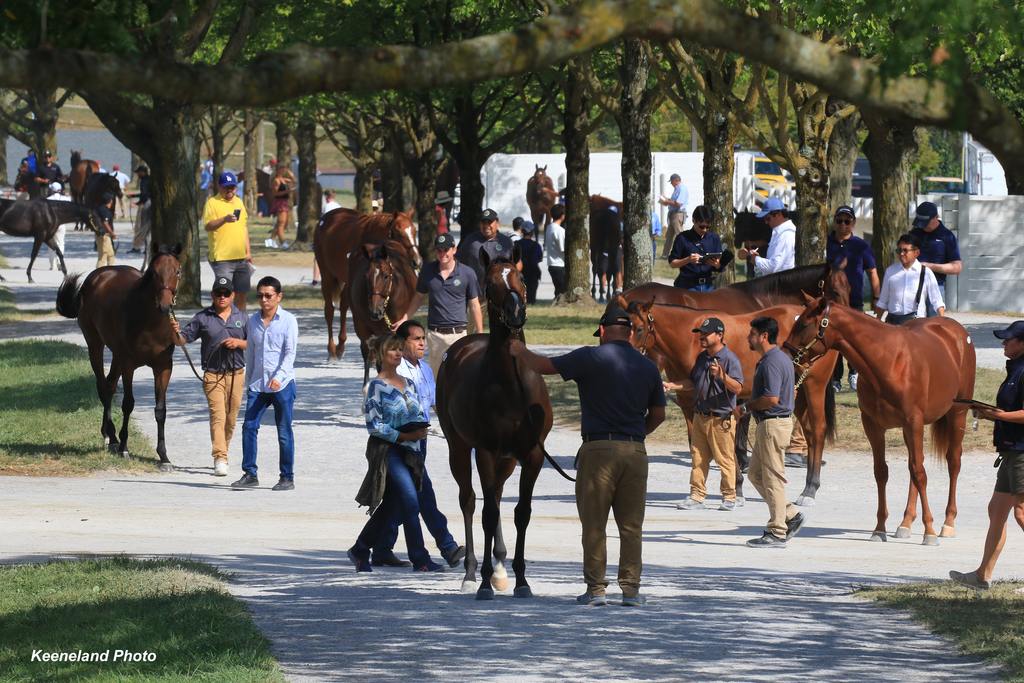 Keeneland Photo