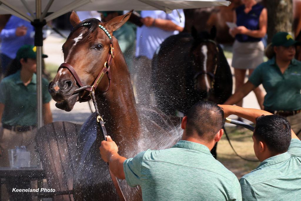 Keeneland Photo