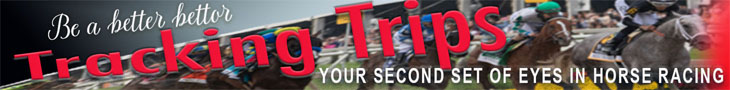 PW: PW TT Banner ALT (ad)