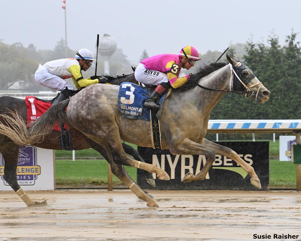 Tapit Trice winning the Woodward. (Susie Raisher)