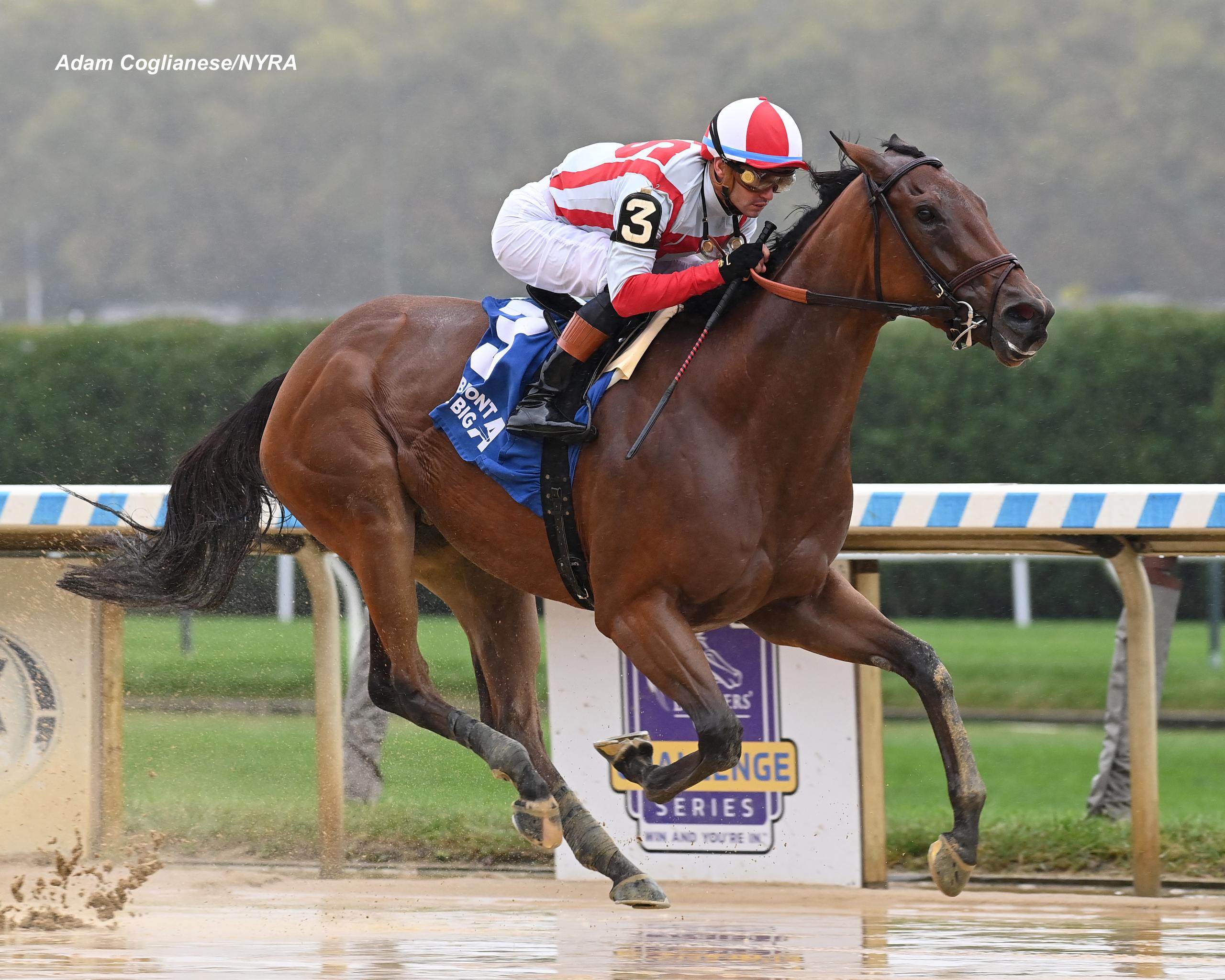 Ways and Means Superior in Gallant Bloom Past The Wire