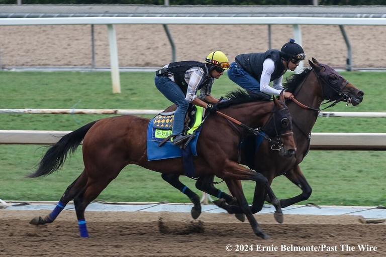 Non Compliant trains at Santa Anita for Bob Baffert and a star t in the Breeders' Cup at Del Mar, Ernie Belmonte, Past the Wire