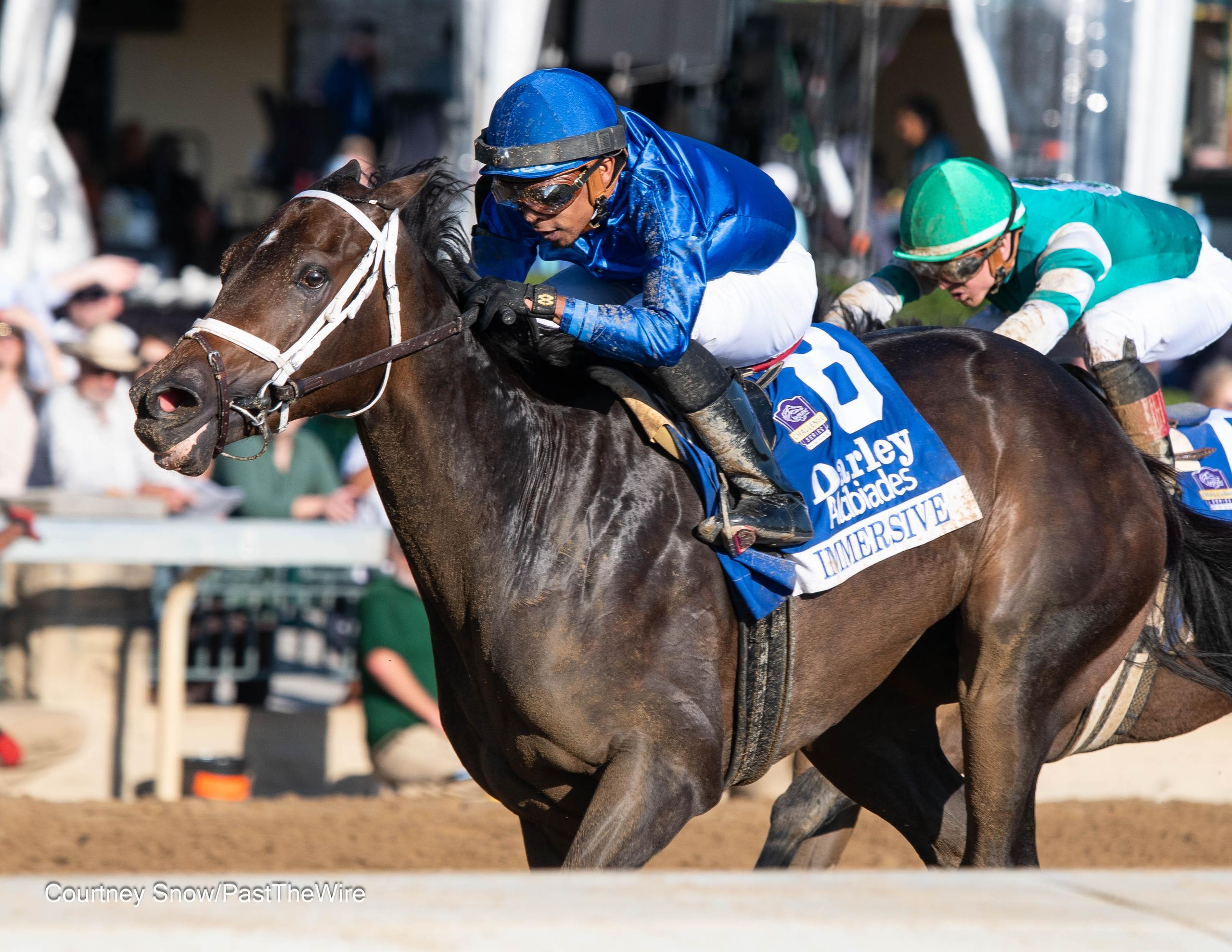 Immersive Stays Perfect in G1 Darley Alcibiades - Past The Wire