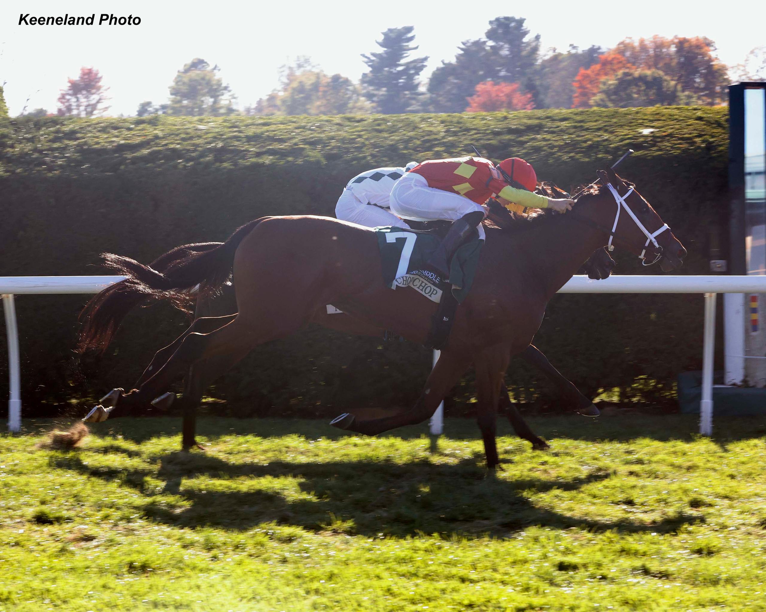Chop Chop Clips Win by a Nose in Dowager Past The Wire