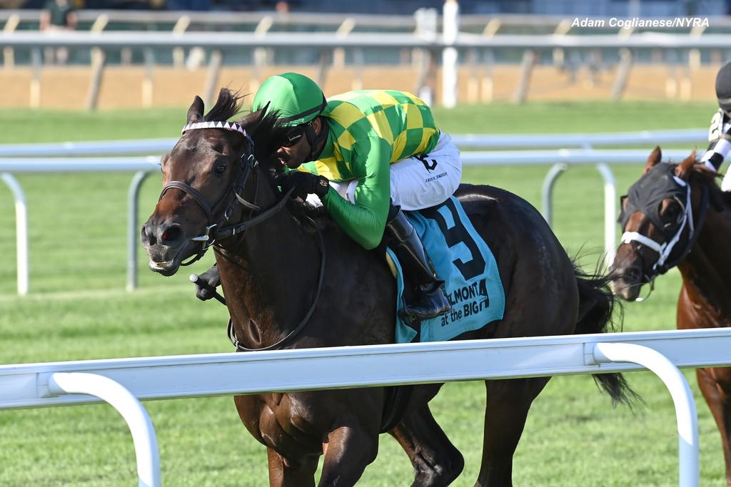 There was no reeling in Donegal Momentum. (Adam Coglianese/NYRA)