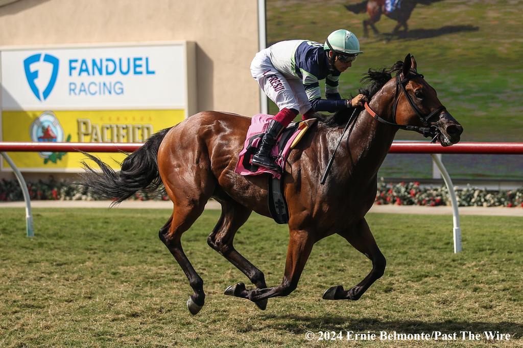 Trainer Doug O’Neill’s Kissed By Fire. (Ernie Belmonte/Past The Wire)