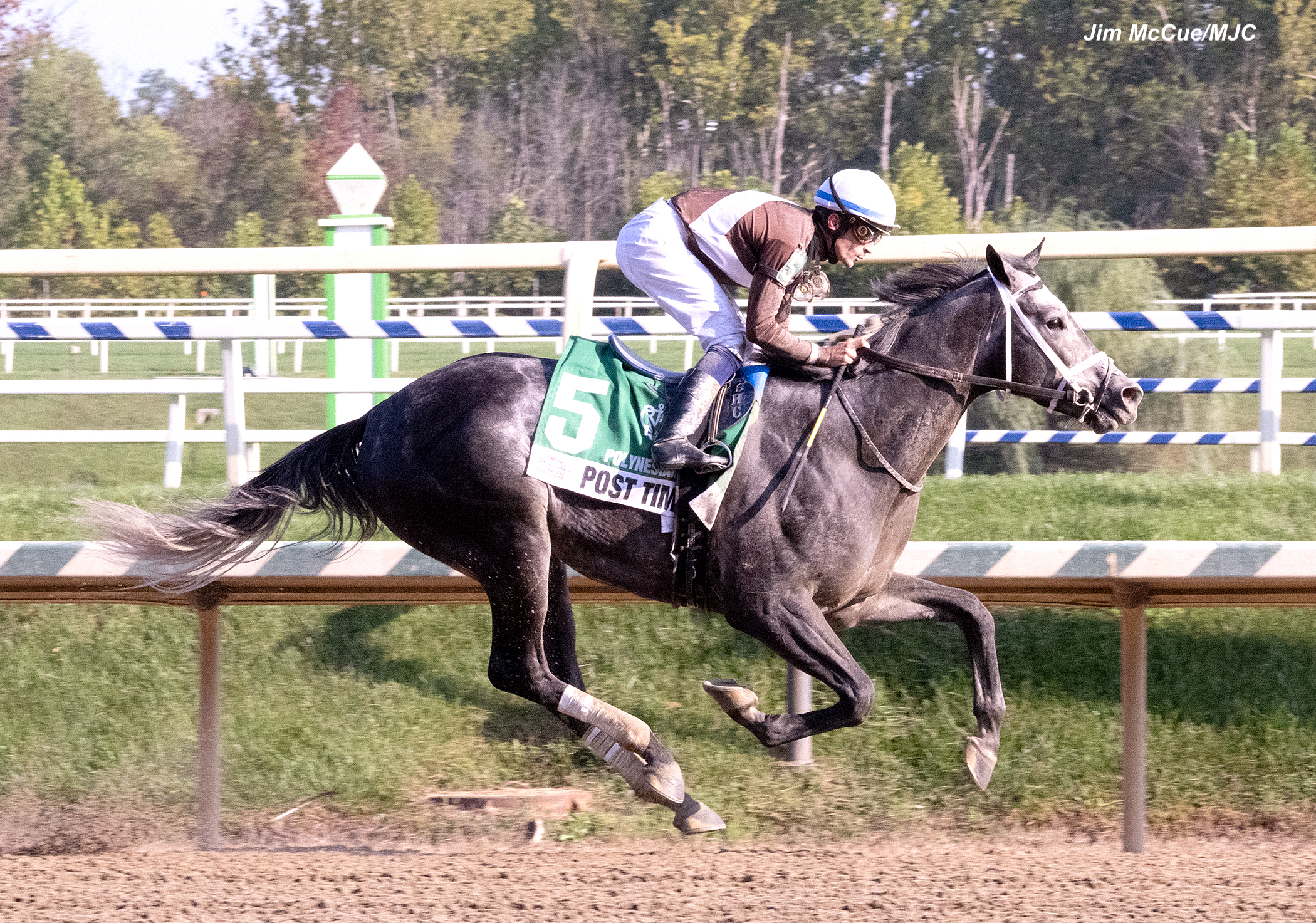 Post Time Headed to Breeders’ Cup Dirt Mile Past The Wire