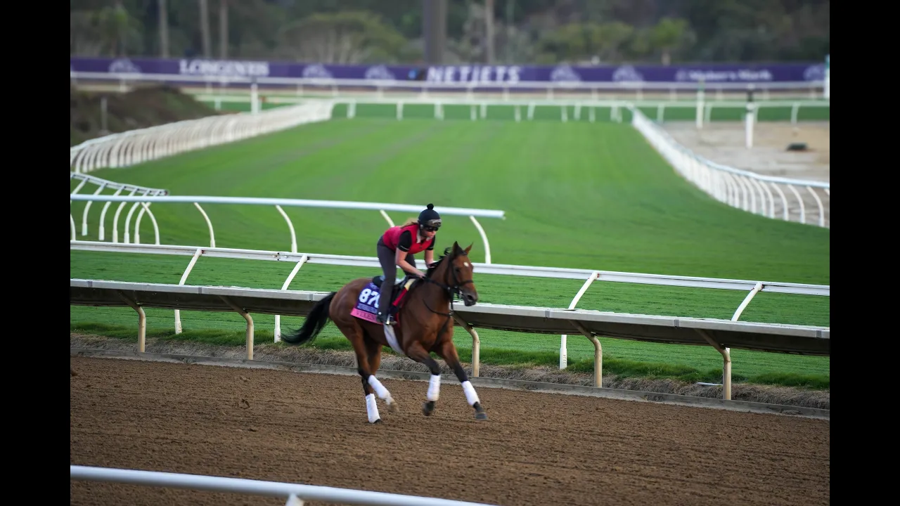 Breeders’ Cup 2024 BC24 Contenders Hit The Del Mar Surface On Tuesday