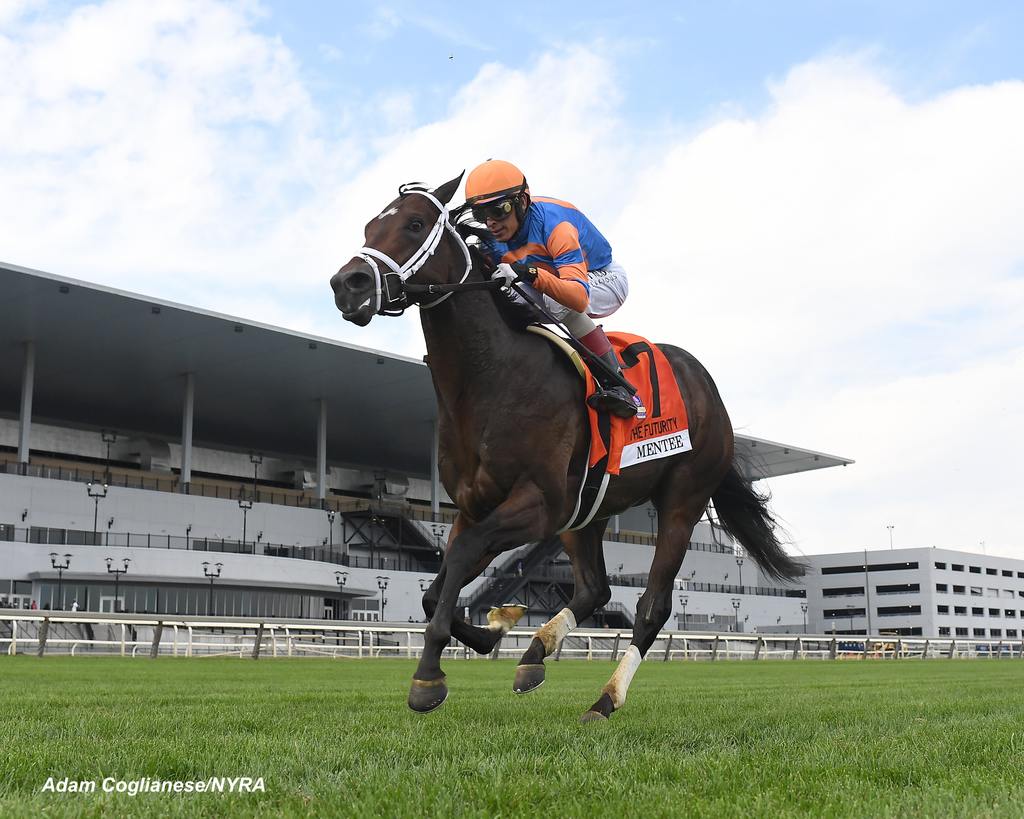 Mentee made his turf debut a winning one. (Adam Coglianese/NYRA)