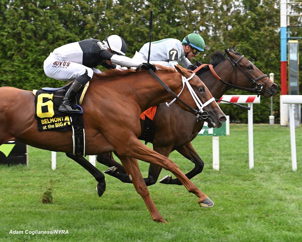 Moonage Daydream (rail) scoring the John Hettinger. (Adam Coglianese/NYRA)