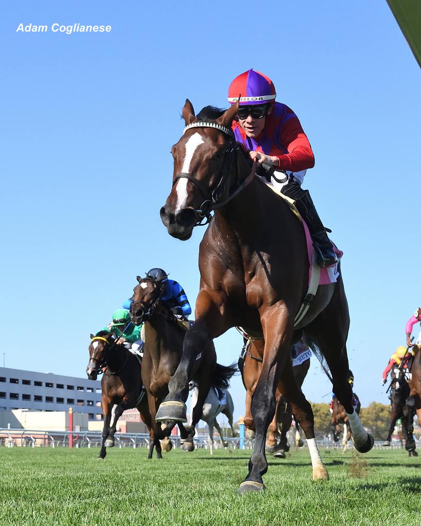 Scythian surges. (Adam Coglianese/NYRA)