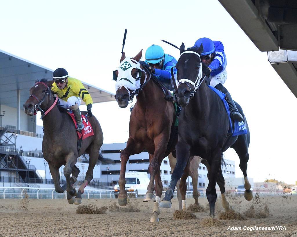 Tarifa utilizes new tactics for front-running victory. (Adam Coglianese)