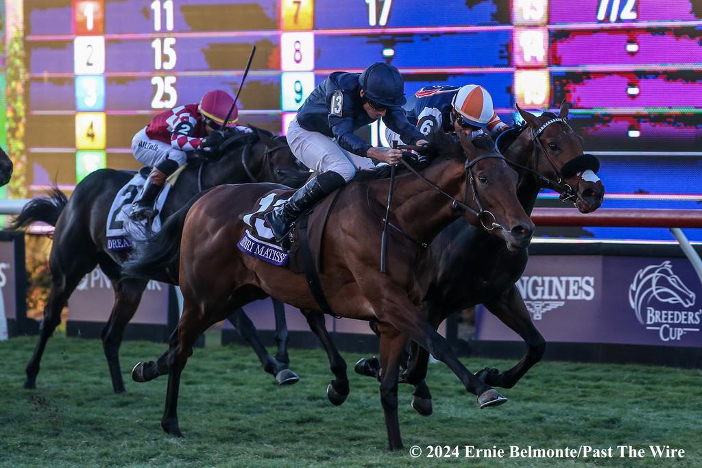 Iron Man Cal battles Henri Matisse in the Juvenile Turf. (Ernie Belmonte/Past The Wire)