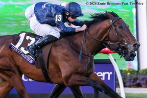 Henri Matisse scoring the Breeders' Cup Juvenile. (Ernie Belmonte/Past The Wire)