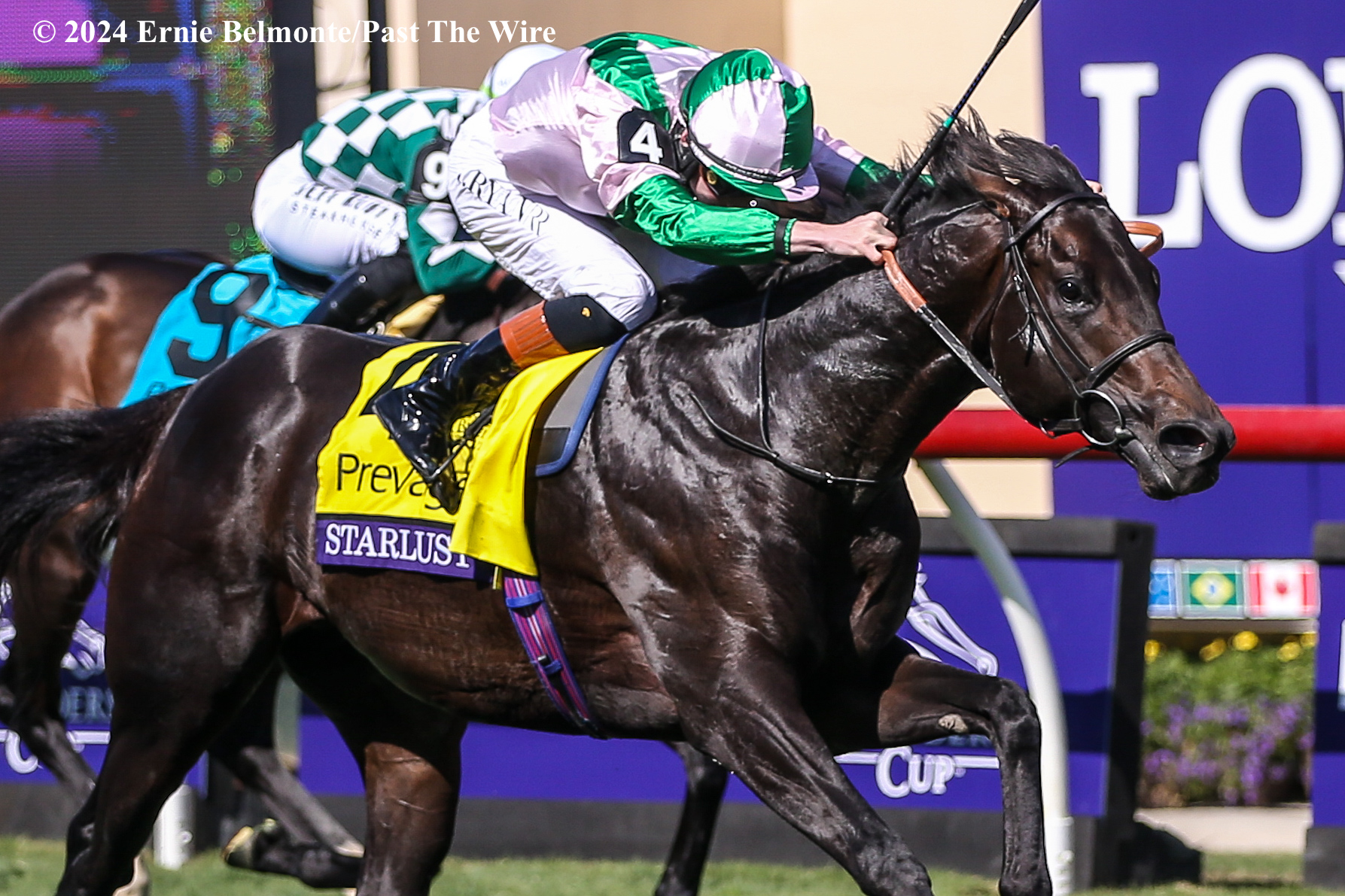 Starlust Surprises in Breeders’ Cup Turf Sprint Past The Wire