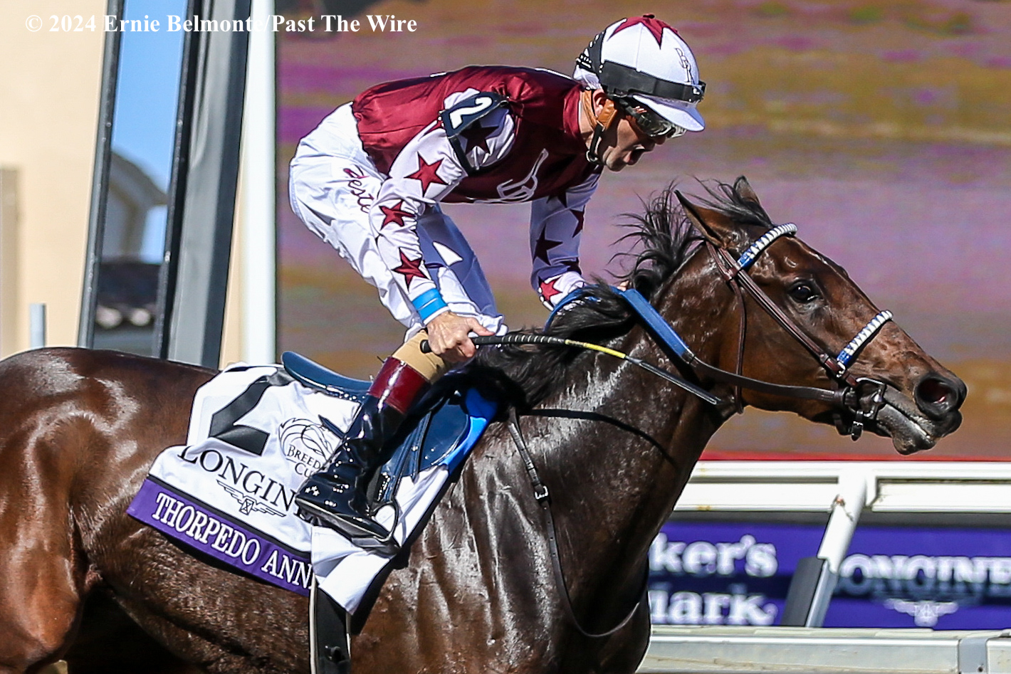 Thorpedo Anna Reigns Supreme in Breeders’ Cup Distaff Past The Wire